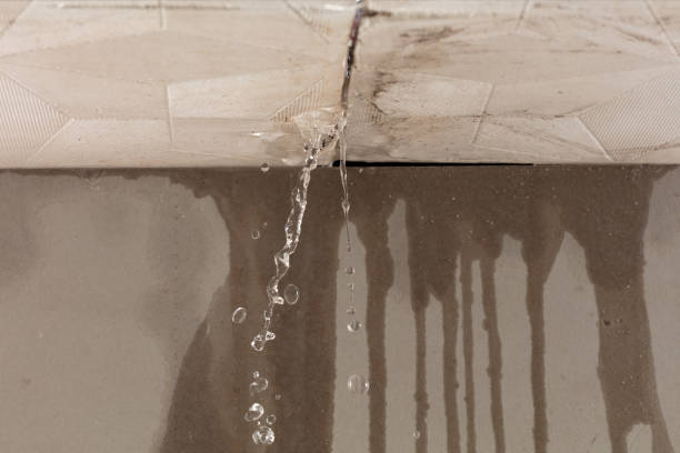Professional Sewage Cleanup technician working in Trumbull, CT